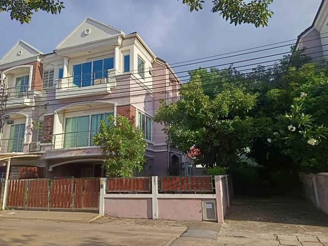 496436pic1