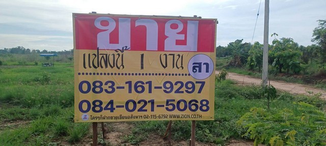 496744pic1