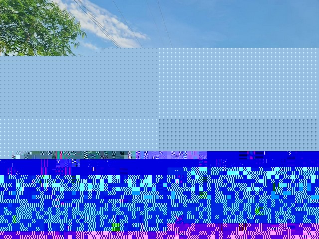 7371pic1 7371pic1
