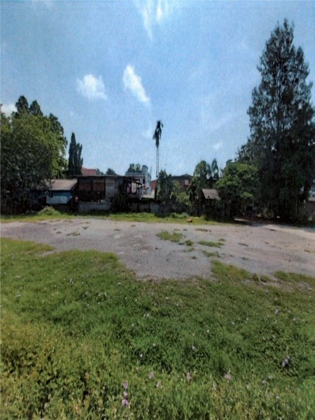 196435pic1
