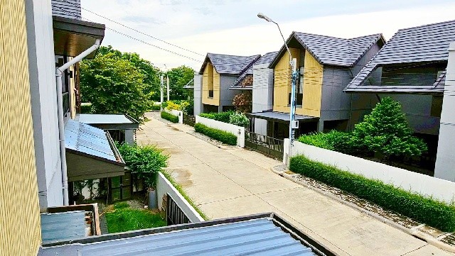 213050pic1