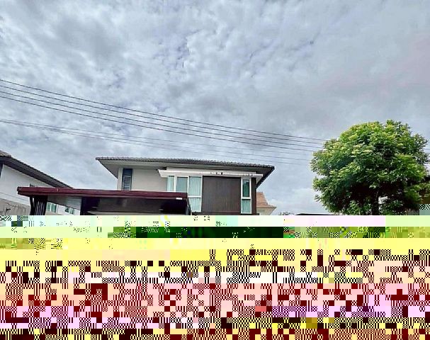 215045pic1 215045pic1