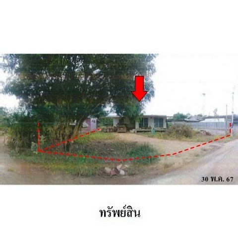 215466pic1
