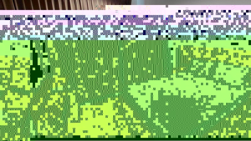 215512pic1