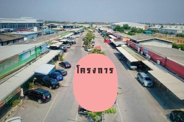 215561pic1 215561pic1