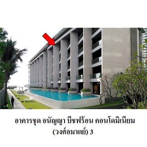 216348pic1
