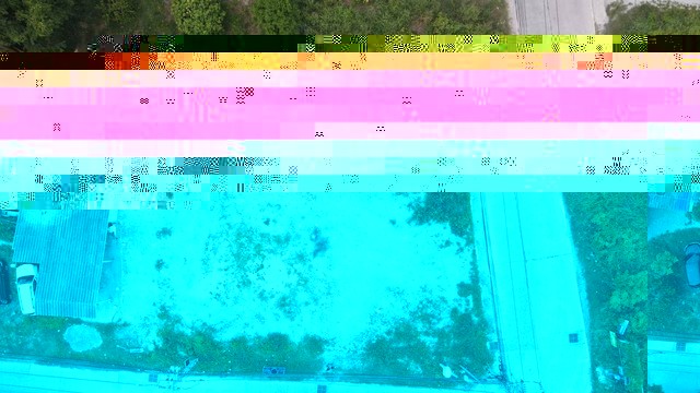 216369pic1