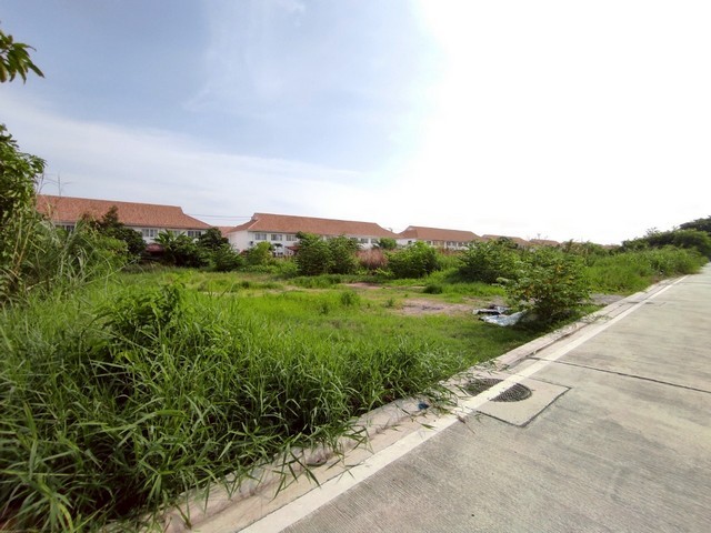 216379pic1