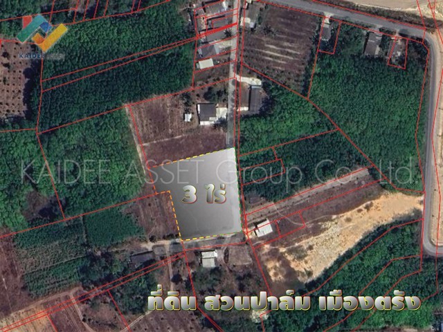 216629pic1 216629pic1