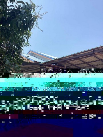 283382pic1 283382pic1