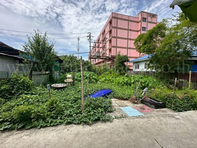 290419pic1