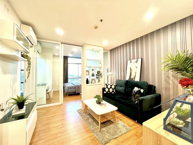 290444pic1