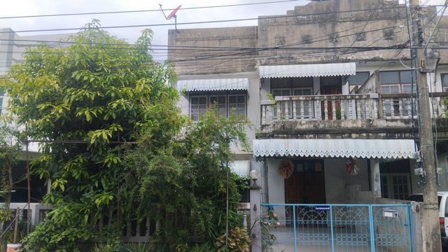 290503pic1 290503pic1