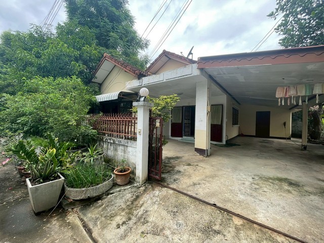 290838pic1