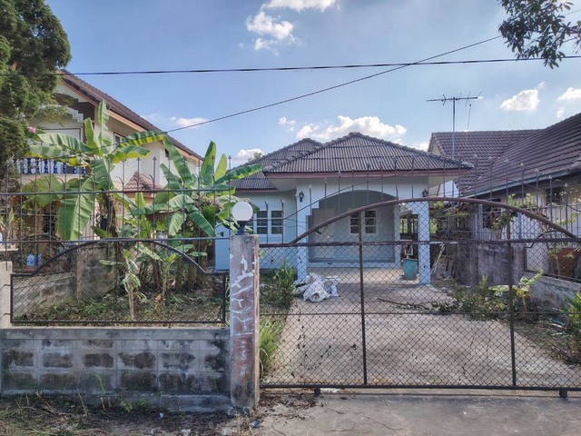 290852pic1