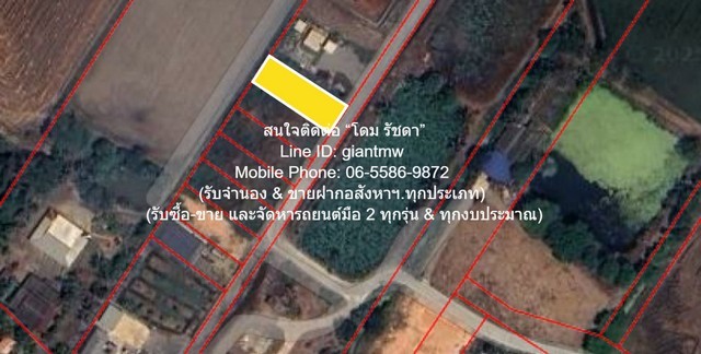 297268pic1