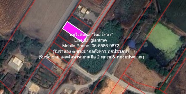 297270pic1