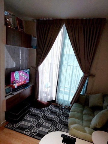 297277pic1
