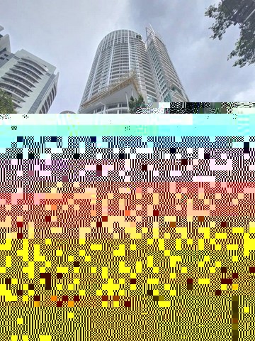 298049pic1 298049pic1