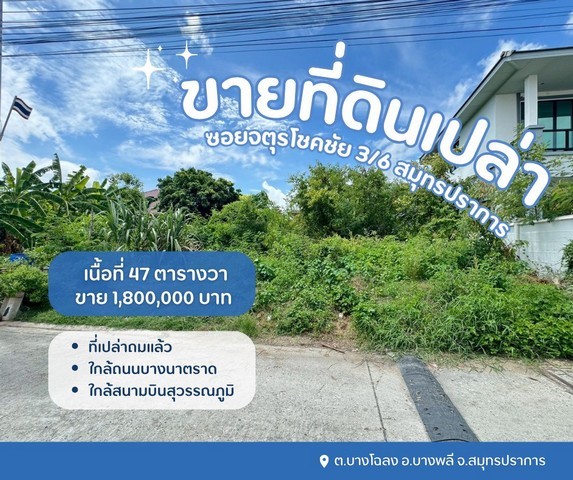 298269pic1