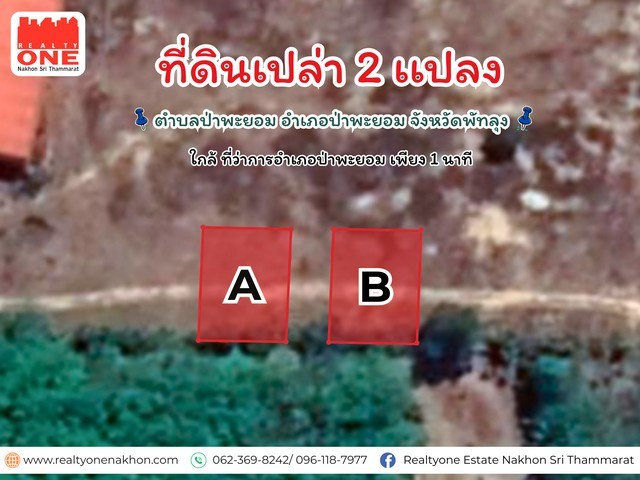 300520pic1 300520pic1