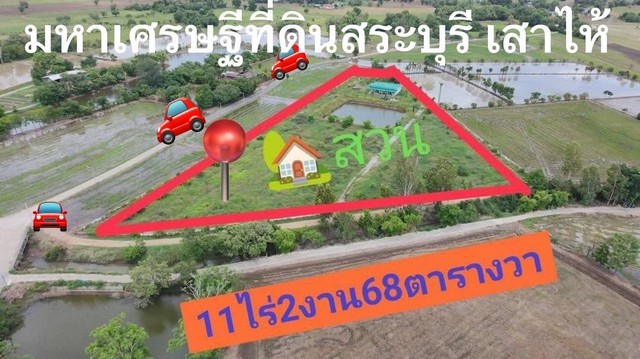 300784pic1