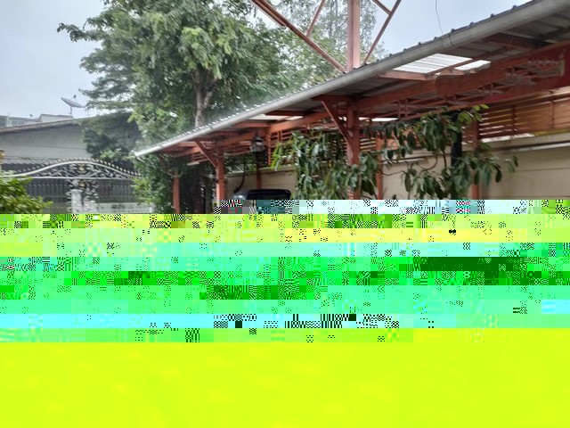 45636pic1 45636pic1