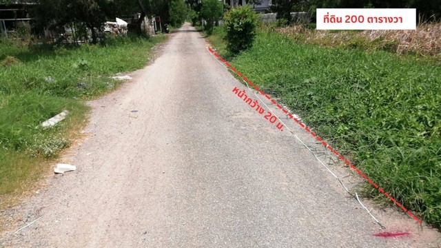 494729pic1