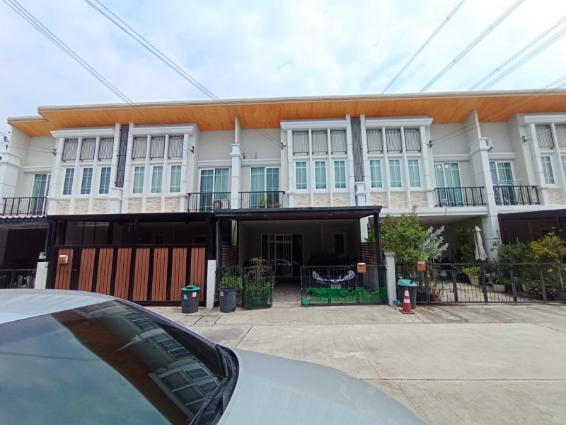 497802pic1