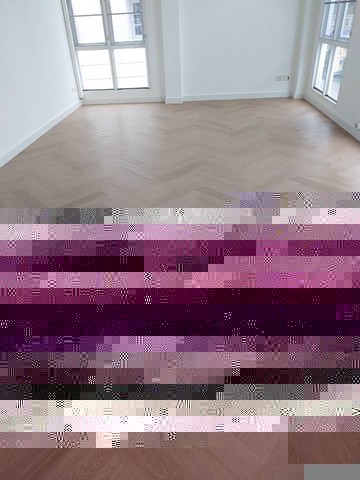497828pic1 497828pic1