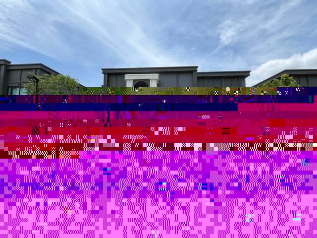 498041pic1