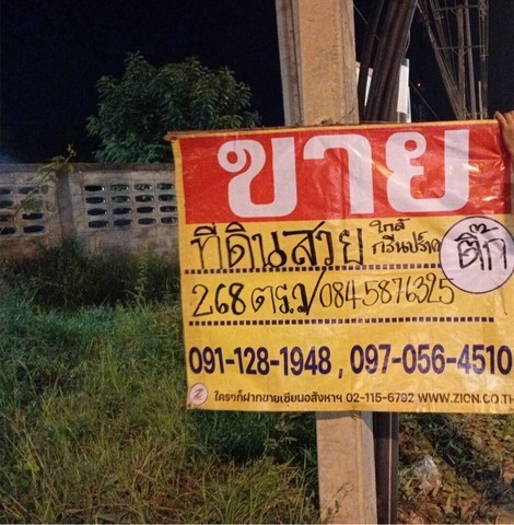 498417pic1