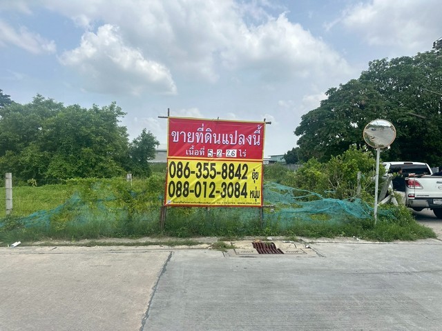 498686pic1