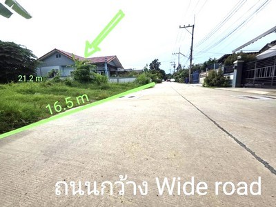 498953pic1