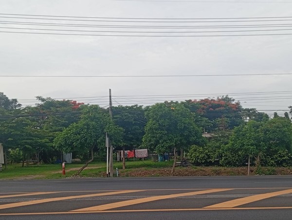 ขายที่ดิน พัฒนานิคม ลพบุรี 001