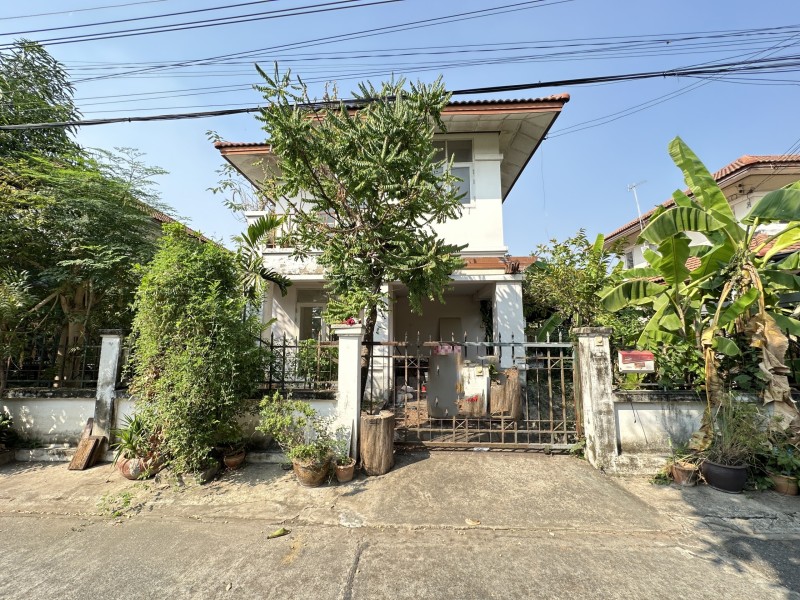 197531pic1