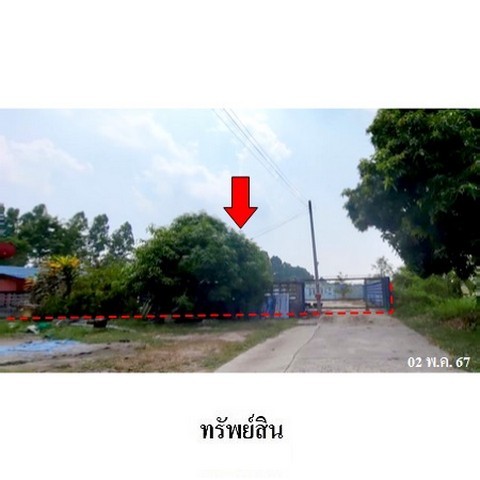 217111pic1