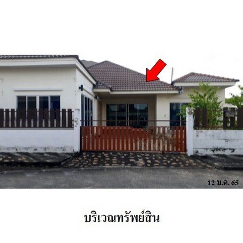 217212pic1