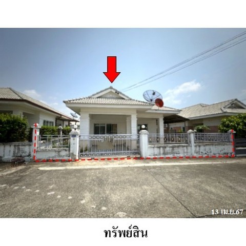 217320pic1