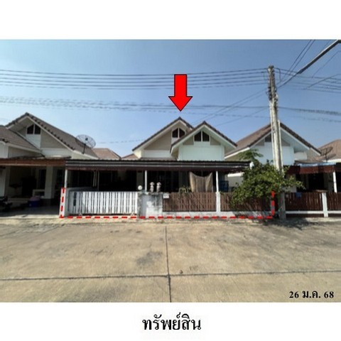 217331pic1