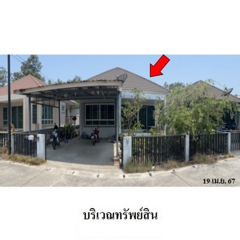 218476pic1