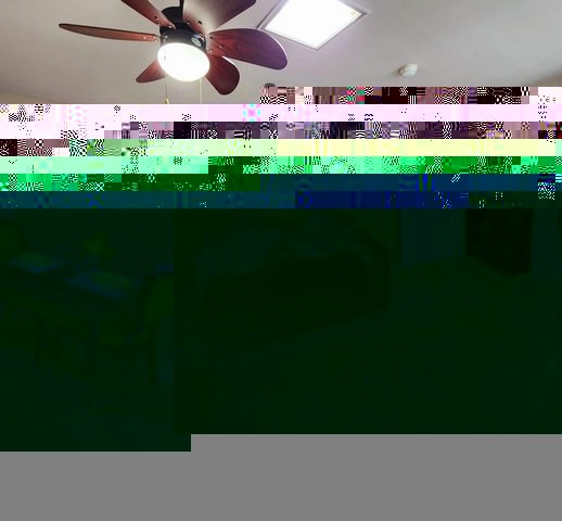 287562pic1