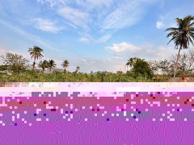 287871pic1