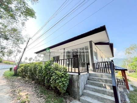 291272pic1