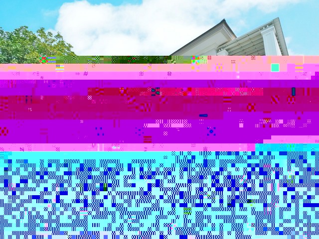 291329pic1