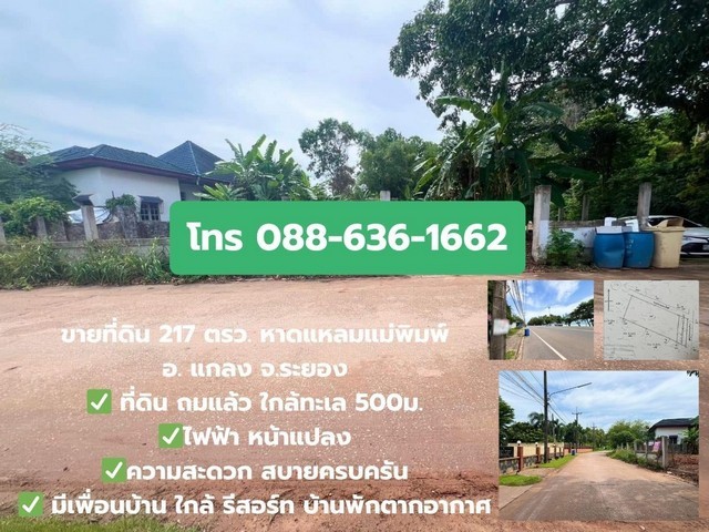 291344pic1