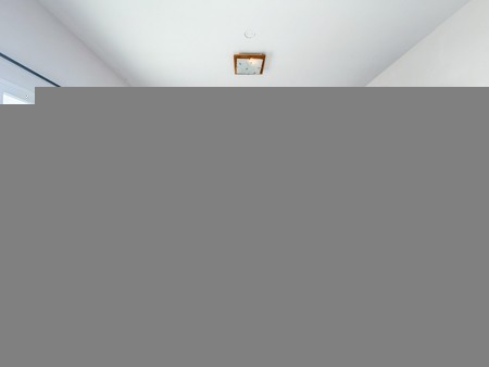 291348pic1
