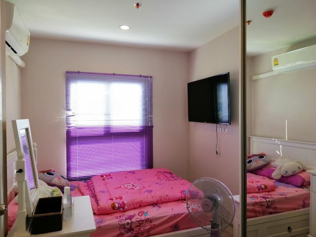 291452pic1