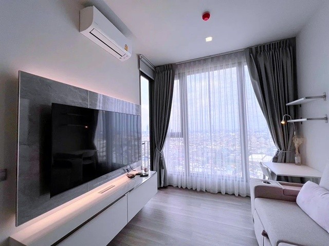 302033pic1