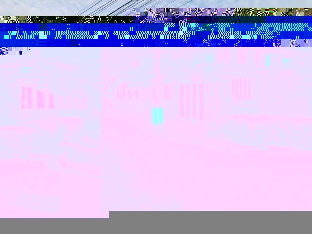 302255pic1